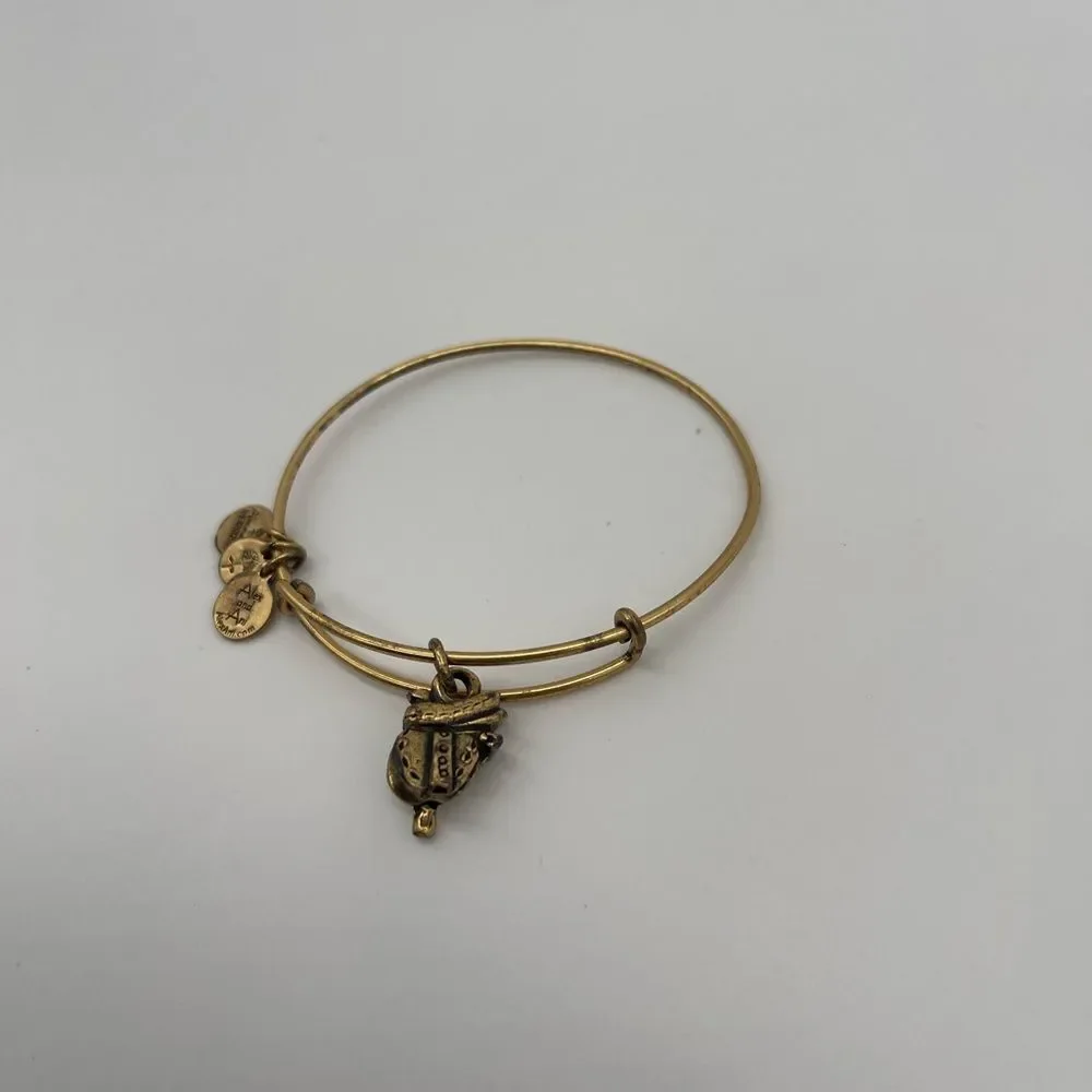 Alex and Ani Saddle Bangle